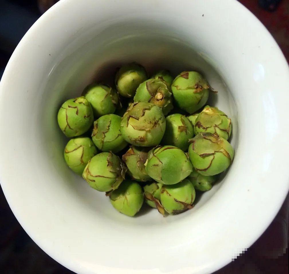 这种花苞要摘掉，不然全都开不了，花还会死！