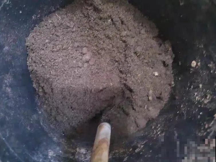 路边不起眼的是宝贝,捡到养花就是宝,养花多年不换盆! 路边不起眼的是宝贝,捡到养花就是宝,养花多年不换盆!