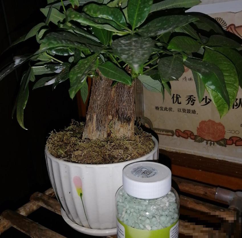 “双刃剑”硫酸亚铁，别乱用，用对方法很重要！