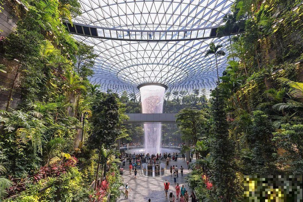 小区楼房被绿植全包围,像个森林一样,你想住进去吗? 小区楼房被绿植全包围,像个森林一样,你想住进去吗?