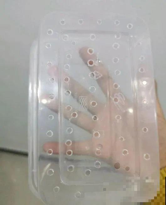 旧筷子、老干妈瓶，都是养花宝贝，做盆浇水都能用！