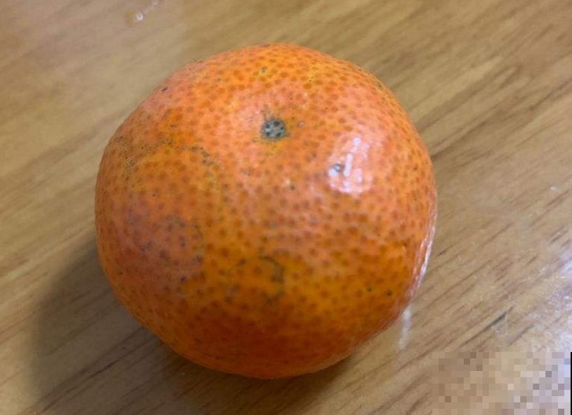 5种水果盆栽，秋天种刚好，果子能结一大片！