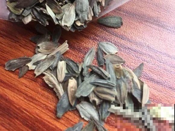 一次性的花，秋天开完就扔了，别浪费时间！