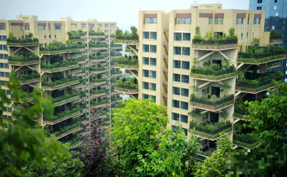 被绿植包围的森林小区,家家阳台满是植物,这样的小区你想住吗? 被绿植包围的森林小区,家家阳台满是植物,这样的小区你想住吗?