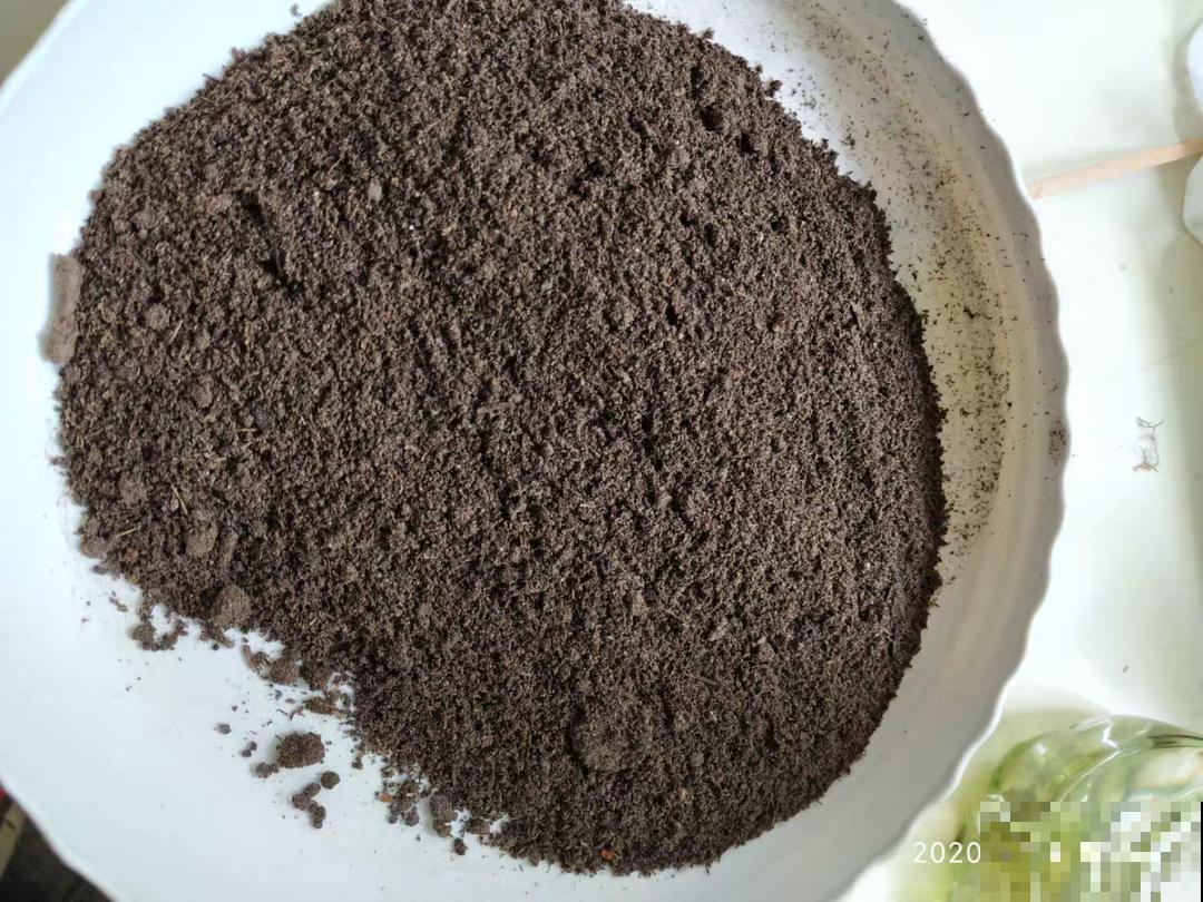 路边不起眼的是宝贝,捡到养花就是宝,养花多年不换盆! 路边不起眼的是宝贝,捡到养花就是宝,养花多年不换盆!