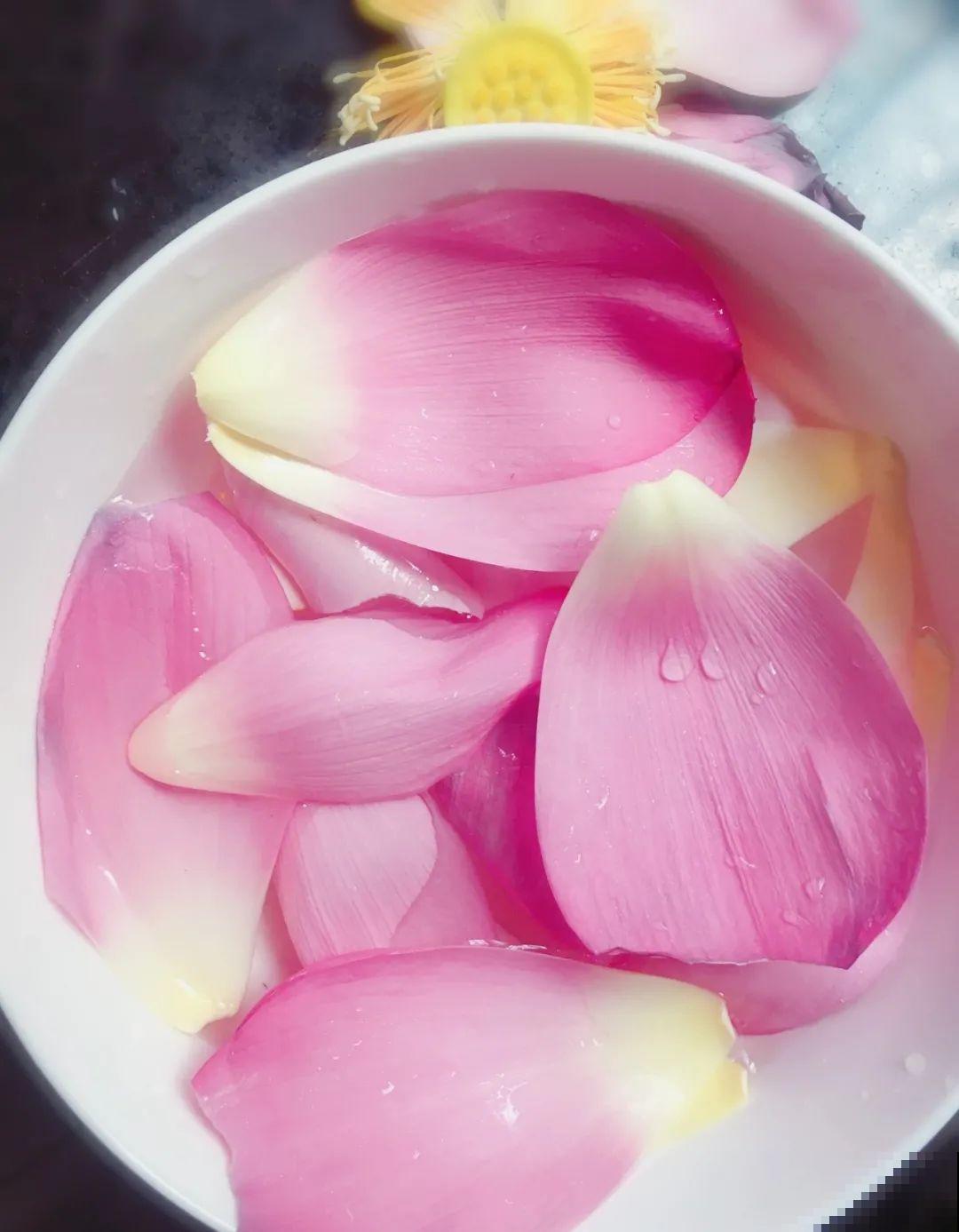 荷花全身都是宝,怎么吃都好吃,夏天清热又败火! 荷花全身都是宝,怎么吃都好吃,夏天清热又败火!