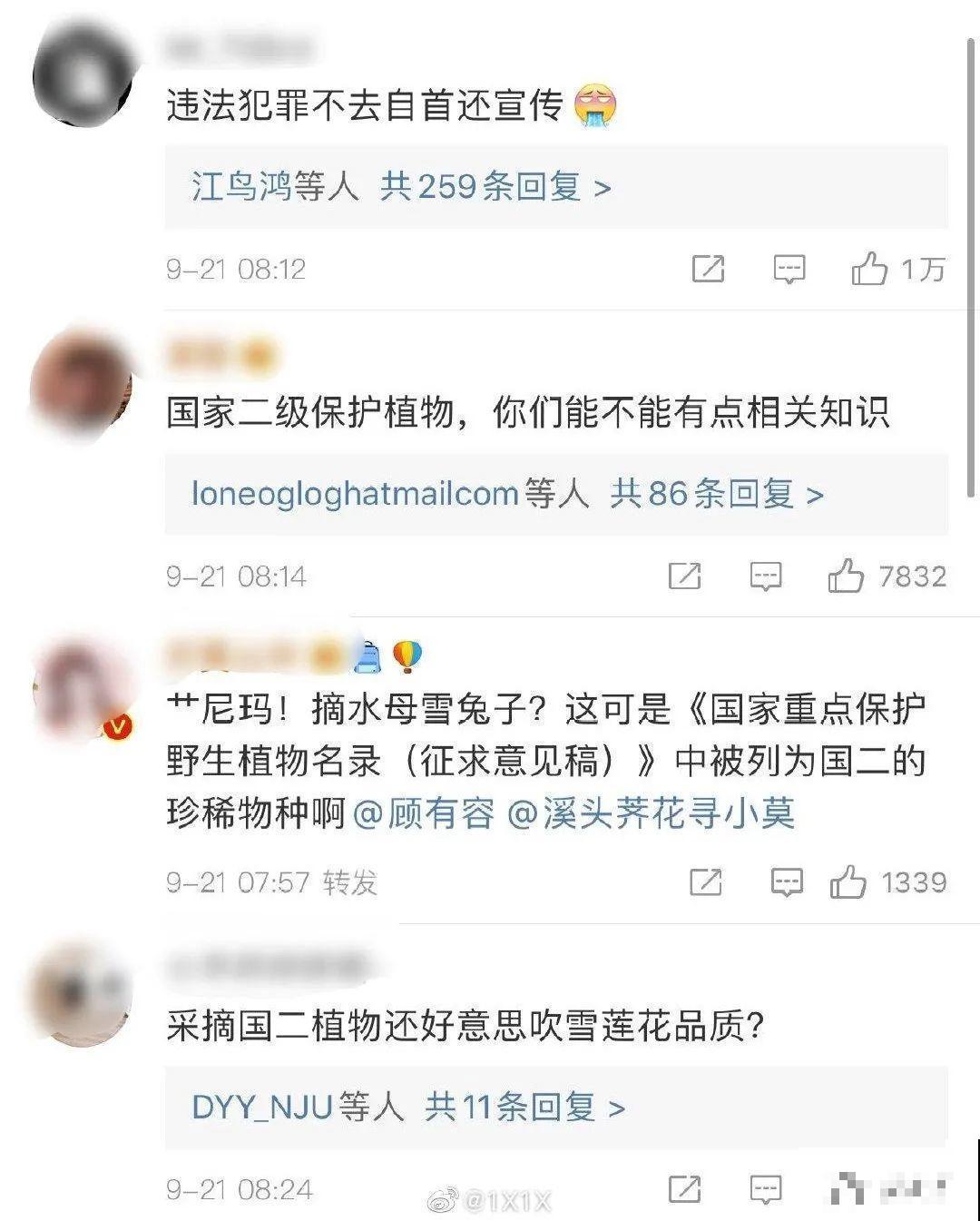 山上的雪莲,说摘就摘? 山上的雪莲,说摘就摘?