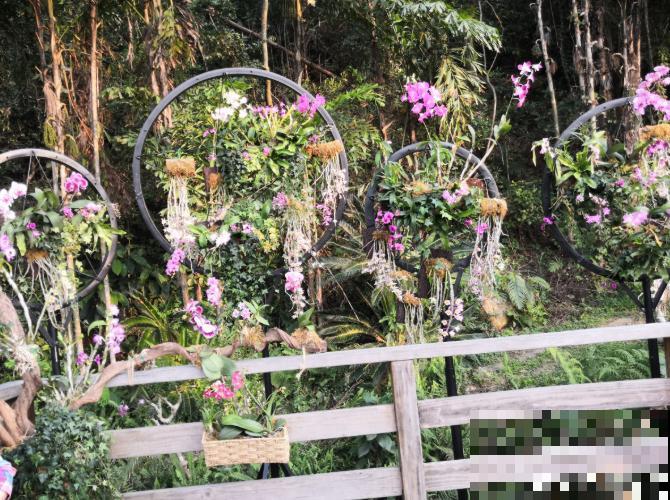 还敢说你的花园有创意?看看这些脑洞设计,一般人做不来! 还敢说你的花园有创意?看看这些脑洞设计,一般人做不来!