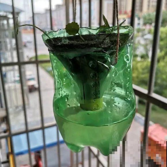 出门前，DIY个浇水神器，花就不会渴死了！