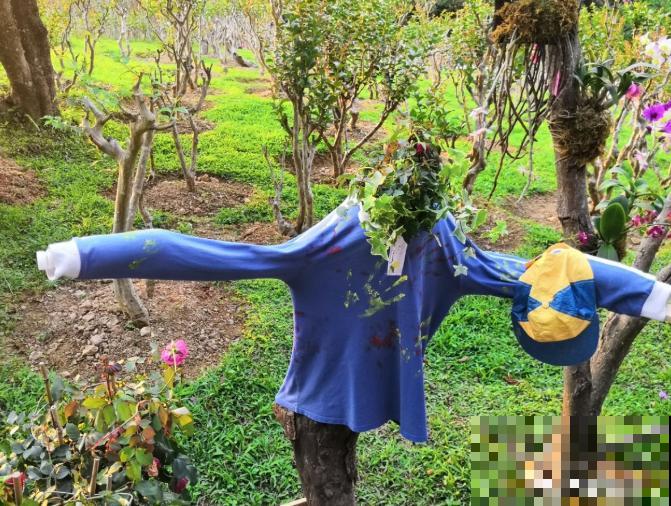 还敢说你的花园有创意?看看这些脑洞设计,一般人做不来! 还敢说你的花园有创意?看看这些脑洞设计,一般人做不来!