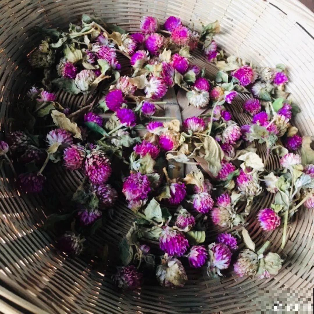 把花剪下来，倒挂几天风干，就能变成永生花！