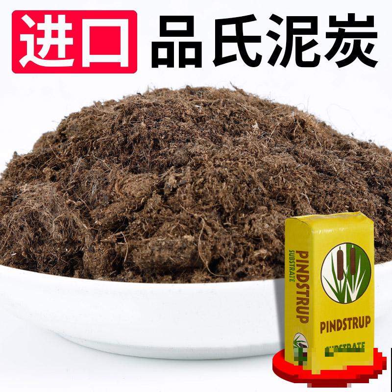 9月是最佳播种期,天竺葵从播种到开花,详细经验来啦! 9月是最佳播种期,天竺葵从播种到开花,详细经验来啦!