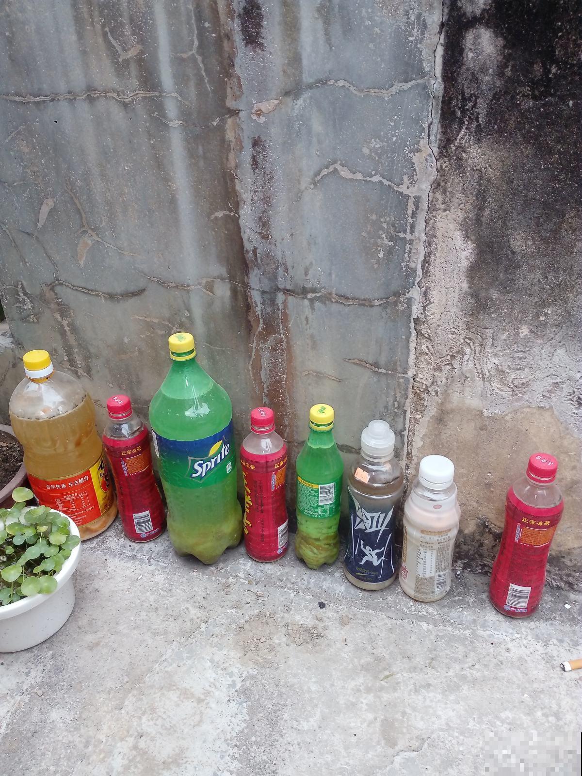 淘米水里加点料,养分更充足,花喝了砰砰冒花苞 淘米水里加点料,养分更充足,花喝了砰砰冒花苞