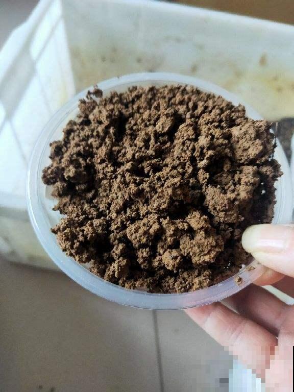 什么才是好的园土,养了这么久的花,现在才分清 什么才是好的园土,养了这么久的花,现在才分清