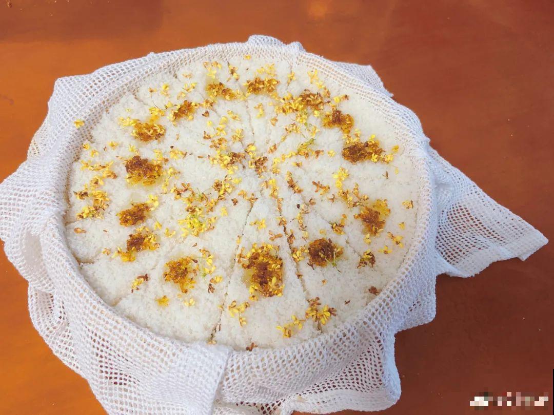 桂花秋天必须养，满树金黄，香飘四溢，不养吃亏了！