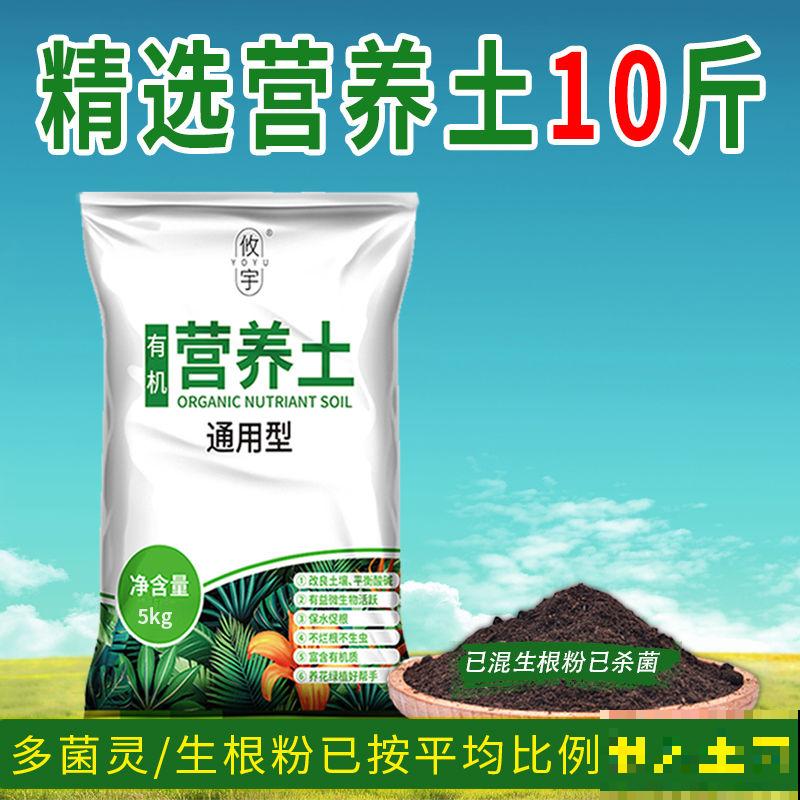 酢浆草不是三叶草,傻傻分不清?叫错名字惹笑话! 酢浆草不是三叶草,傻傻分不清?叫错名字惹笑话!