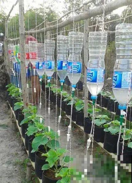 出门前，DIY个浇水神器，花就不会渴死了！