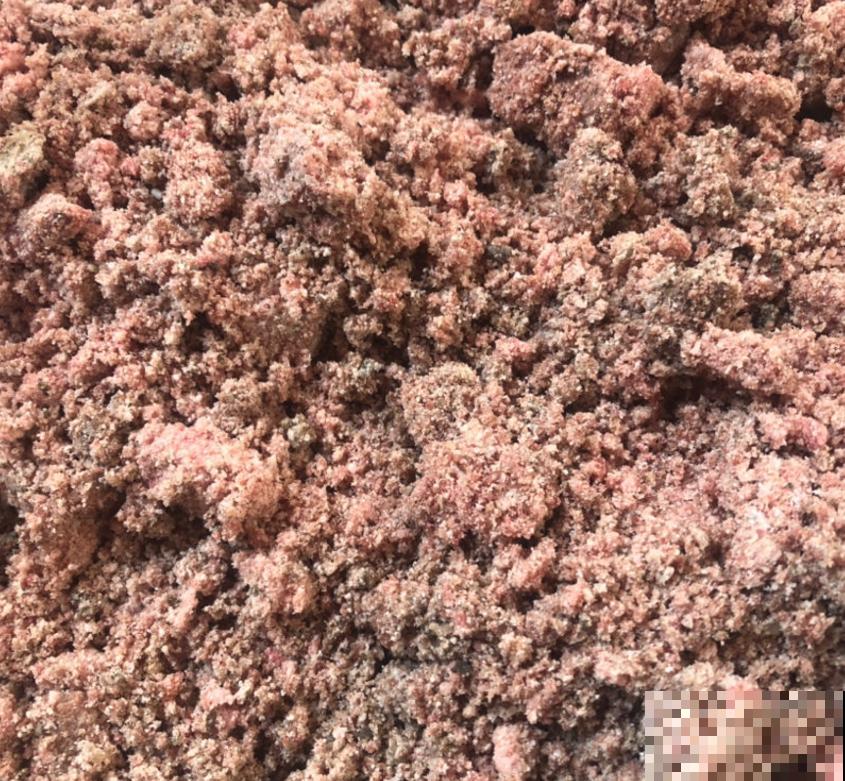 吃剩的骨头不要扔,拿来给花补钙,花朵疯长! 吃剩的骨头不要扔,拿来给花补钙,花朵疯长!