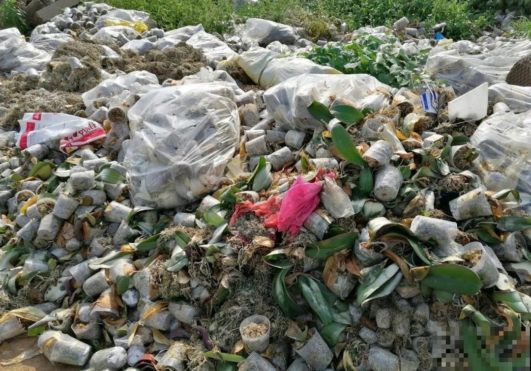 花堆成山,捡到手软,大麻袋都装不下了! 花堆成山,捡到手软,大麻袋都装不下了!