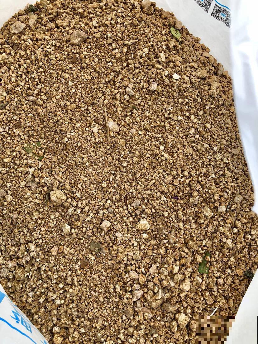 秋天养多肉，盆里扔点小东西，状态恢复快