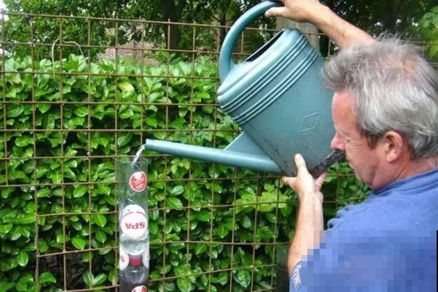 旧筷子、老干妈瓶，都是养花宝贝，做盆浇水都能用！