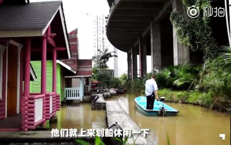 重庆一家企业,楼顶用来种菜养花,佩服! 重庆一家企业,楼顶用来种菜养花,佩服!