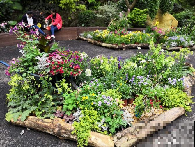 还敢说你的花园有创意?看看这些脑洞设计,一般人做不来! 还敢说你的花园有创意?看看这些脑洞设计,一般人做不来!