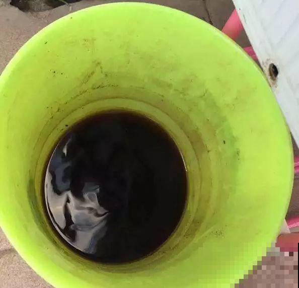 营养液还去花市买?别买了,教你2分钟制作,简单还省钱! 营养液还去花市买?别买了,教你2分钟制作,简单还省钱!