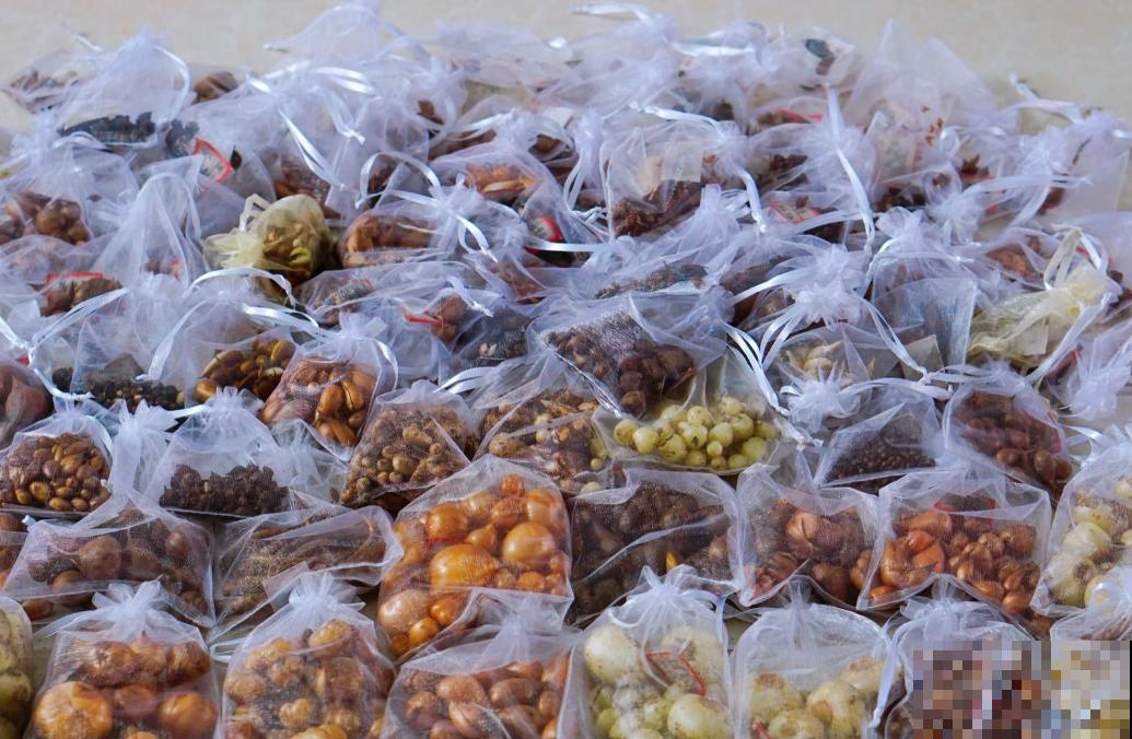 酢浆草太能生崽,一年生一堆,多得都想扔! 酢浆草太能生崽,一年生一堆,多得都想扔!