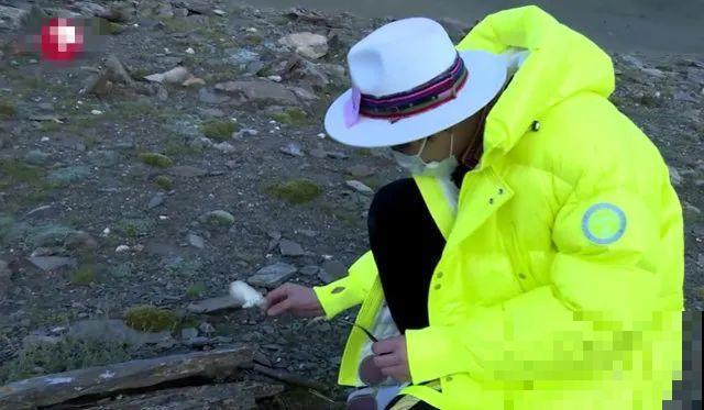 山上的雪莲，说摘就摘？