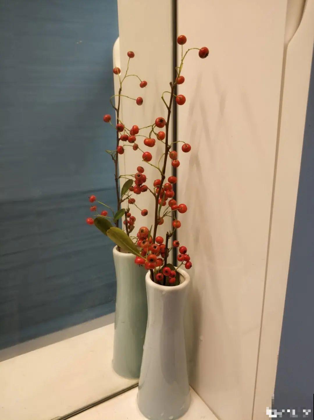 农村当柴火的花，花市卖得可贵，你认识几种？