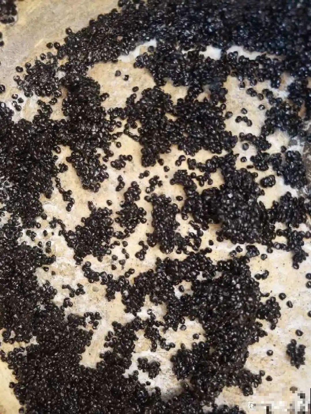 15种花，开完花就结种子，千万别丢掉