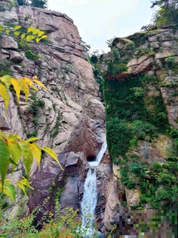 秋日开花多，美景拍下来，留住最美一刻