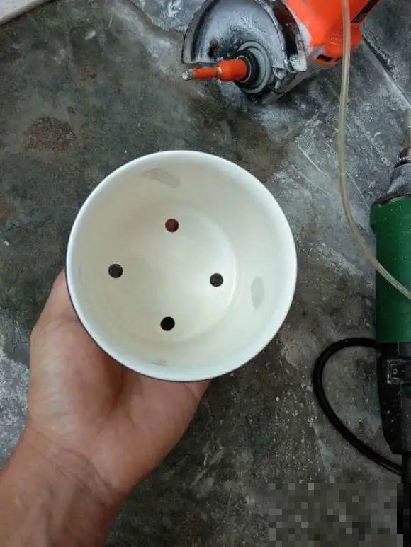 酒瓶子别丢掉,那可是种花神器,省了一笔买花钱 酒瓶子别丢掉,那可是种花神器,省了一笔买花钱