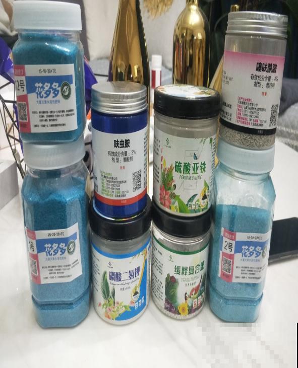 冬天不能施肥？养花不能一刀切，看看这3点吧！