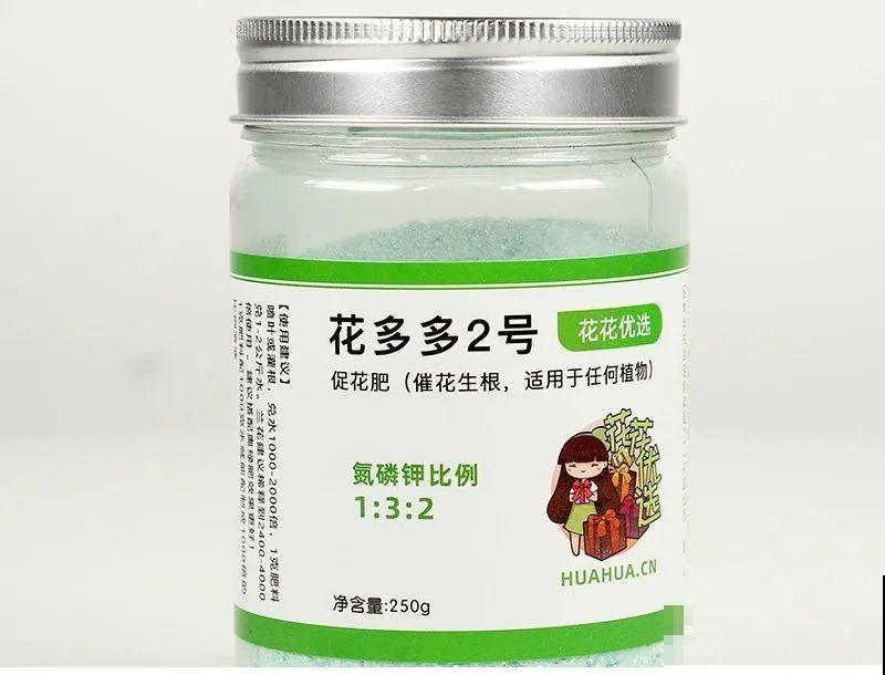 长寿总是不开花，黑塑料袋一套，立马咕噜噜冒花苞！