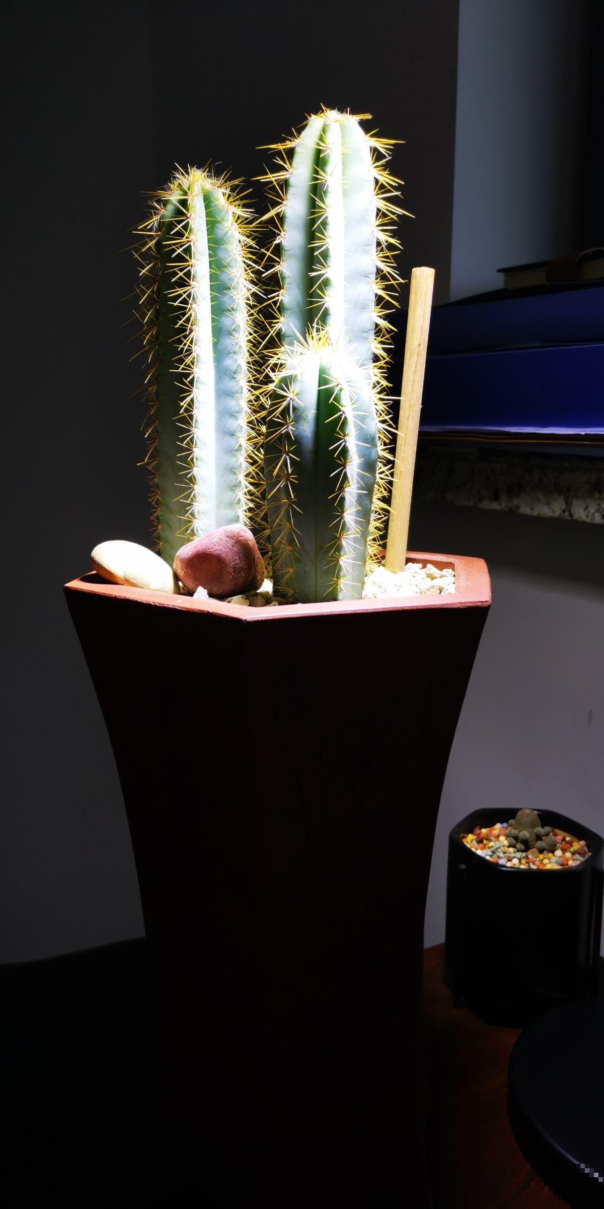 冬天天气太干燥，皮肤总是痒，4招缓解皮肤干燥和静电