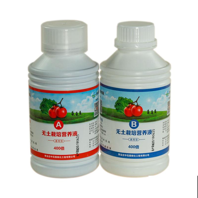 养文竹易出错的4个问题，答案在这里，看看有没有你要的！