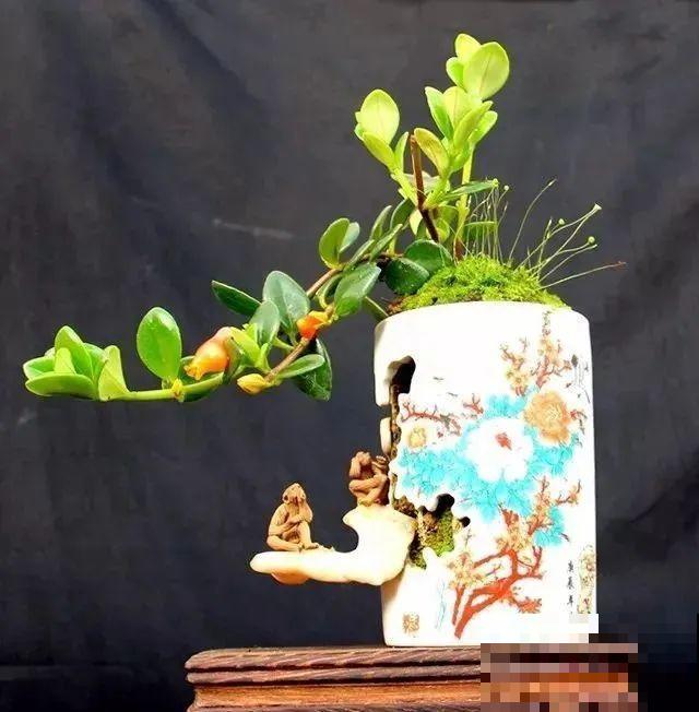 酒瓶子别丢掉,那可是种花神器,省了一笔买花钱 酒瓶子别丢掉,那可是种花神器,省了一笔买花钱