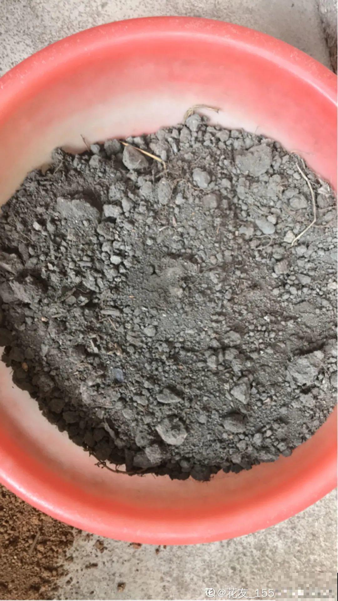 老祖宗留下来的养花谚语,真准! 老祖宗留下来的养花谚语,真准!