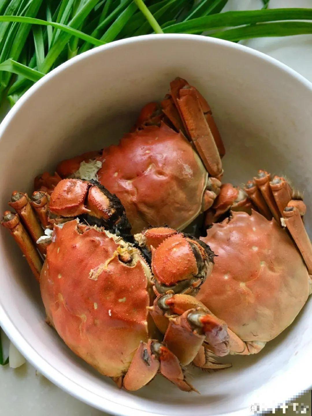 大螃蟹做花肥,秋天大补,花吃完就疯长了! 大螃蟹做花肥,秋天大补,花吃完就疯长了!