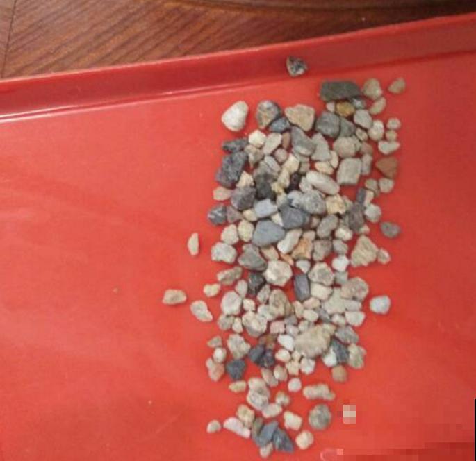 给花浇水特简单，用这3种方法，怎么浇都不积水！