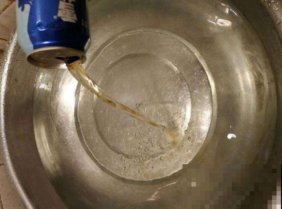 月季招红蜘蛛别怕，这样防治，很快就恢复