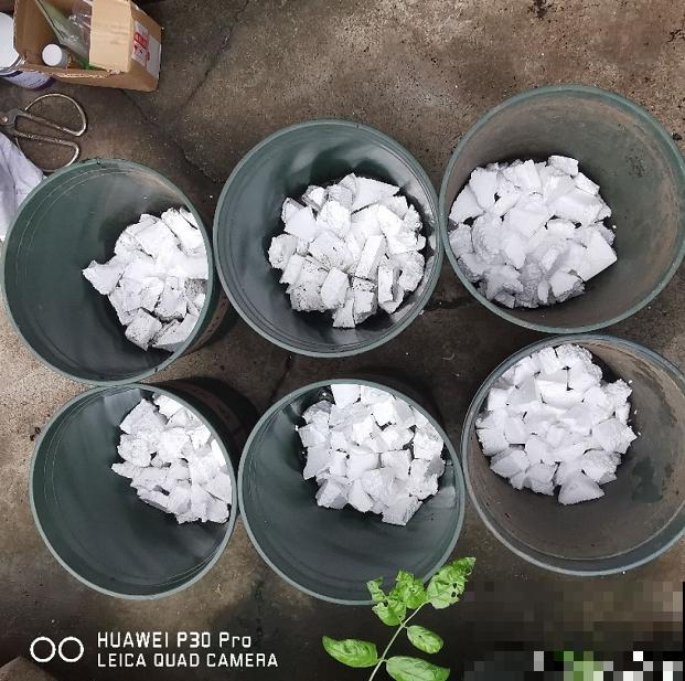 月季开花多与少,全看秋冬会不会养,2个工作要做好! 月季开花多与少,全看秋冬会不会养,2个工作要做好!