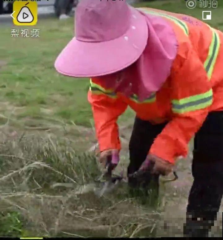 假期出门玩，遇到不文明行为，必须曝光！