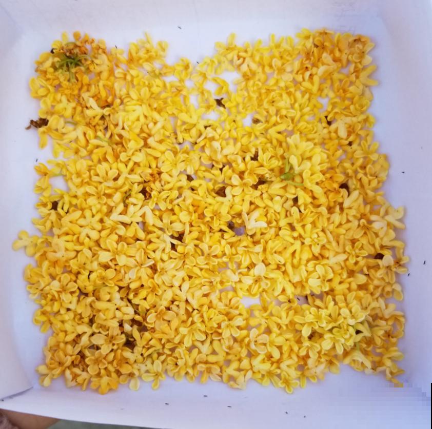 天冷要养生，这2种花茶没喝过，不算合格的“养生人”！