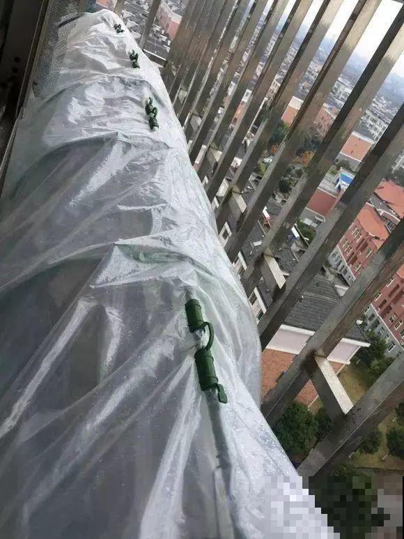 寒潮来了，害怕花受冻，赶紧这么做！