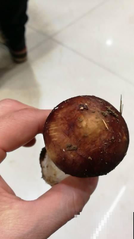 洗葡萄时加点面粉，灰尘都洗干净，吃着更放心