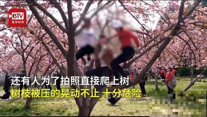 假期出门玩，遇到不文明行为，必须曝光！