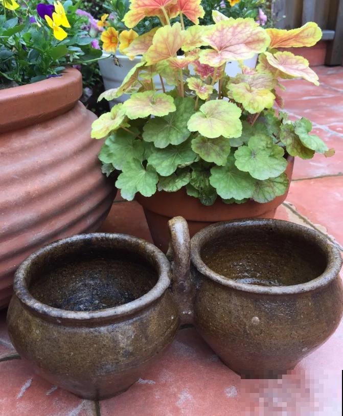 人家拆迁，我捡宝贝，花盆大缸……随便拿！